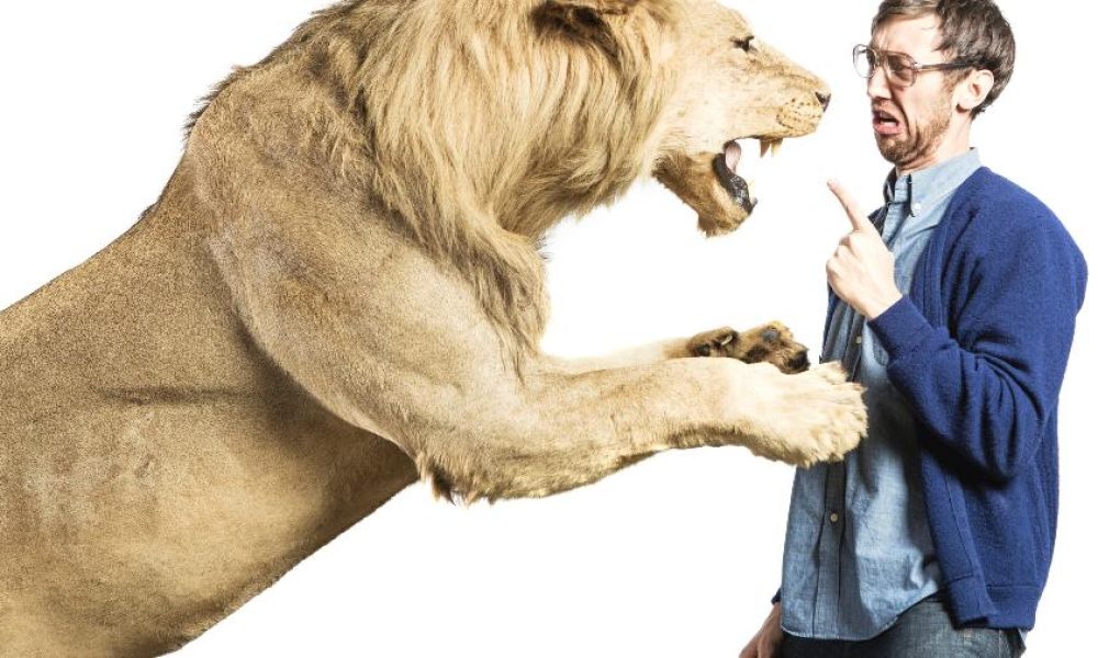 leao-imposto-de-renda-ir-leao-bravo-malha-fina-receita-federal-declaracao-impostos-1462215209513_v2_900x506